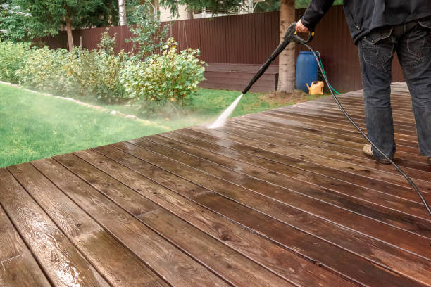 Best Sidewalk and Walkway Cleaning  in Christopher, IL