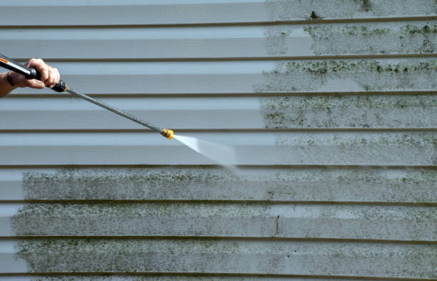 Best Animal Enclosure Cleaning  in Christopher, IL